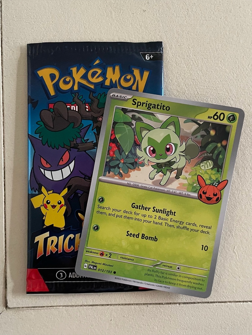 NEW sprigatito pokemon card